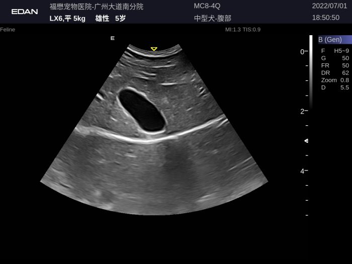 EDAN AX9 VET - Image 4